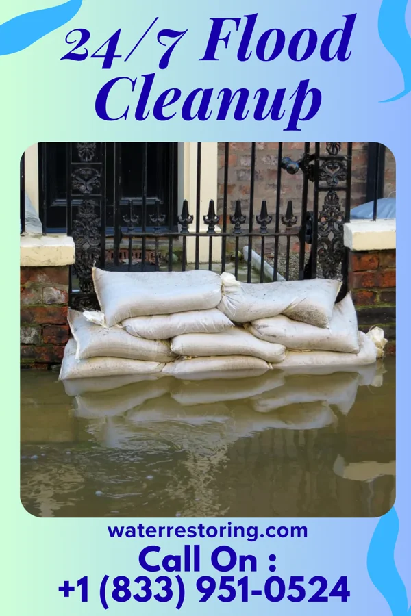 24/7 Flood Cleanup in Bay Head, NJ