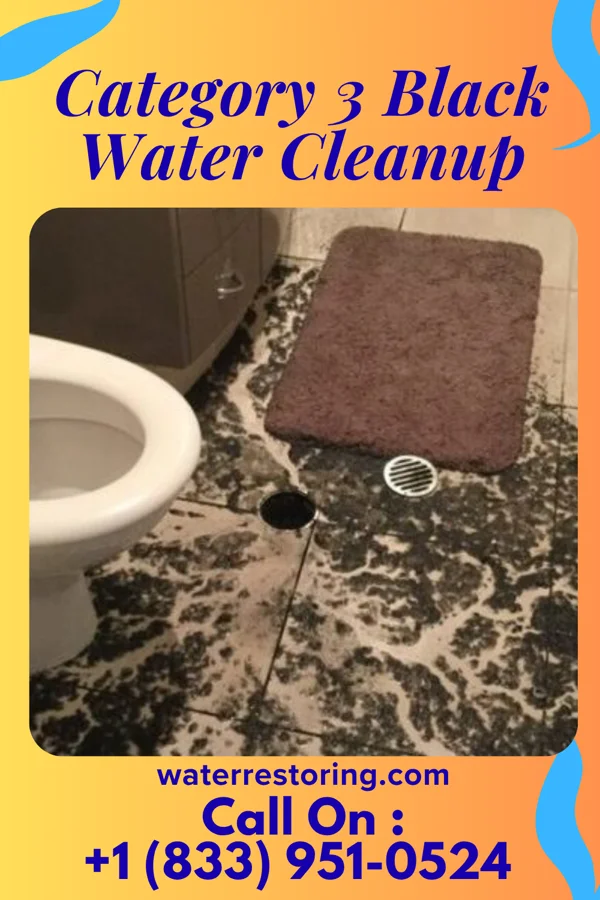 Category 3 Black Water Cleanup in Bay Head, NJ