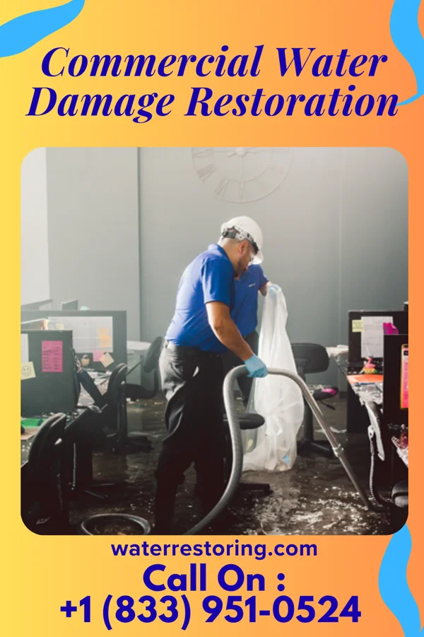 Commercial Water Damage Restoration in Bay Head, NJ