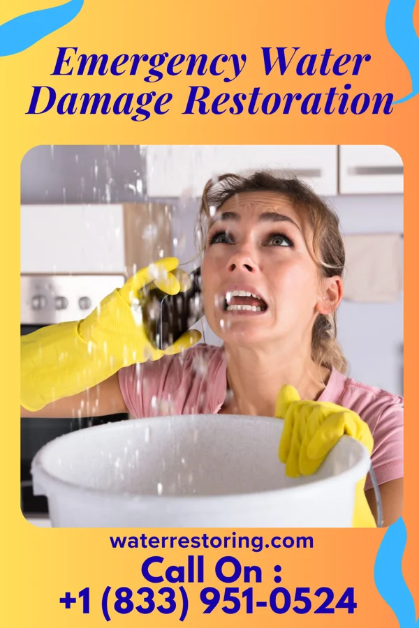 Emergency Water Damage Restoration in Bay Head, NJ