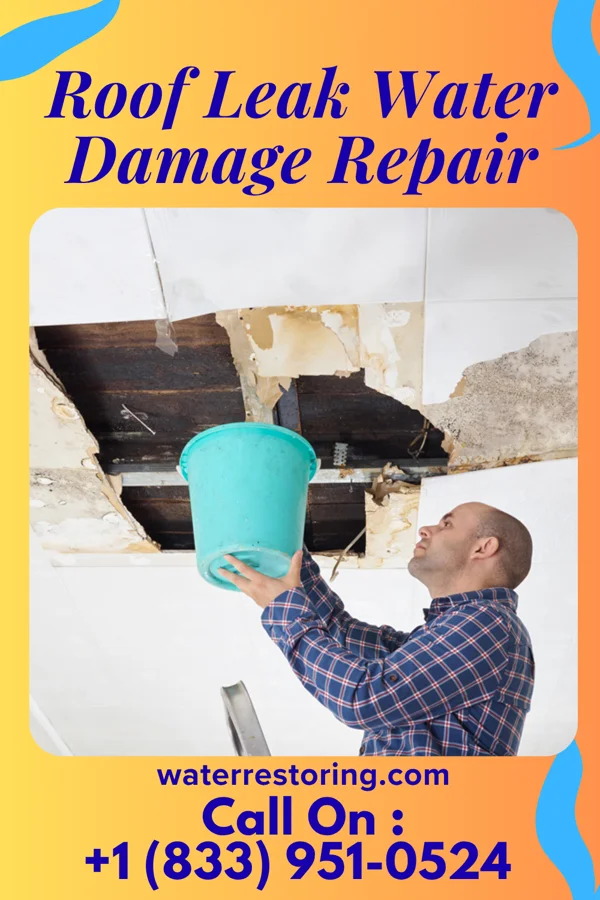 Roof Leak Water Damage Repair in Bay Head, NJ